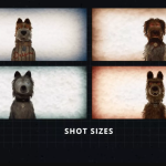 韦斯·安德森的对称性与对称剪辑详解