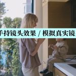 Premiere预设/Pr预设 手持镜头晃动效果