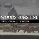 Premiere预设/Pr模板 MOGRT预设 极简动态字幕条 12款