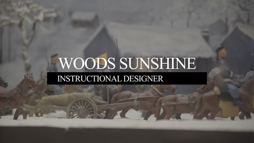 Premiere预设/Pr模板 MOGRT预设 极简动态字幕条 12款