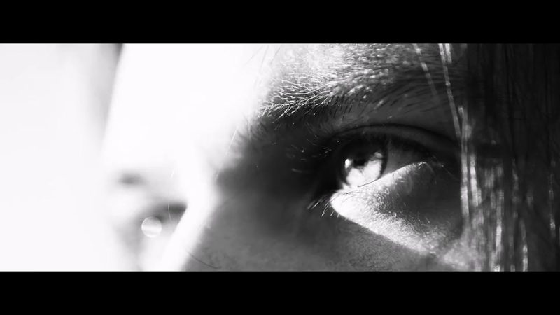 黑白风格Lut包 20款 支持PR/AE/FCPX/达芬奇等