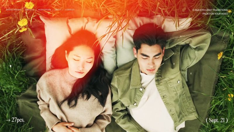 Premiere预设/Pr模板 光效转场