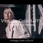 复古风格Lut包 20款 支持PR/AE/FCPX/达芬奇等